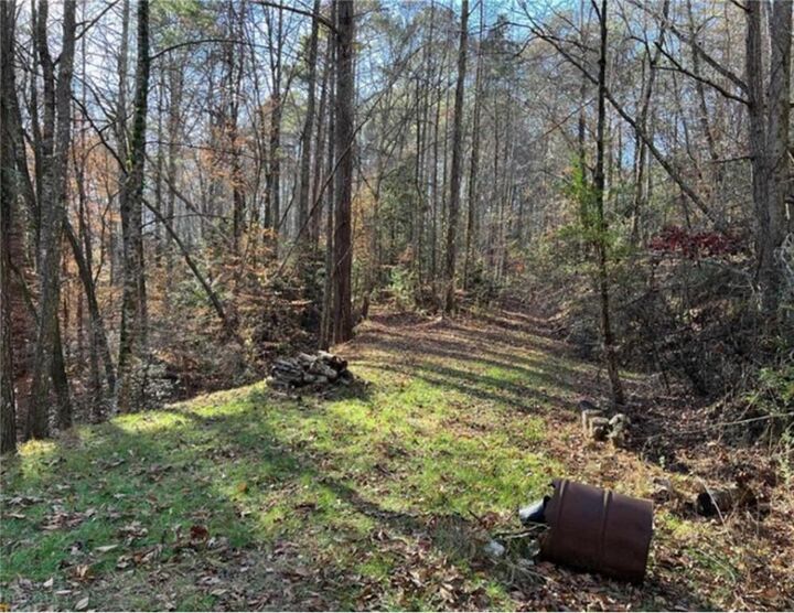 Property Photo:  0 Maple Rest Lane  GA 30540 