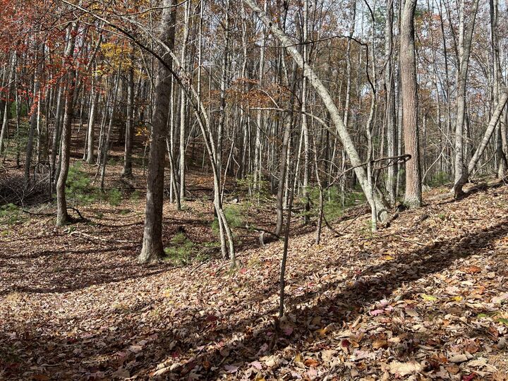 Property Photo:  Hollywood Glace Road  WV 24983 