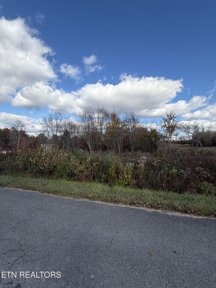 Property Photo:  Woodgate Drive  TN 38558 