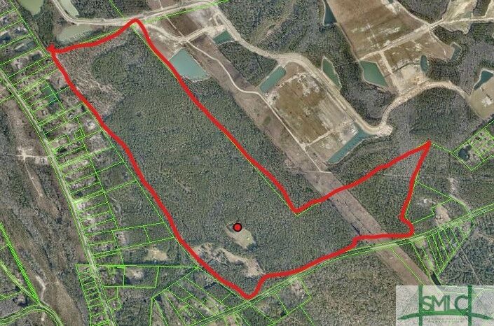 Property Photo:  161 Paso Fino Lane  GA 31302 