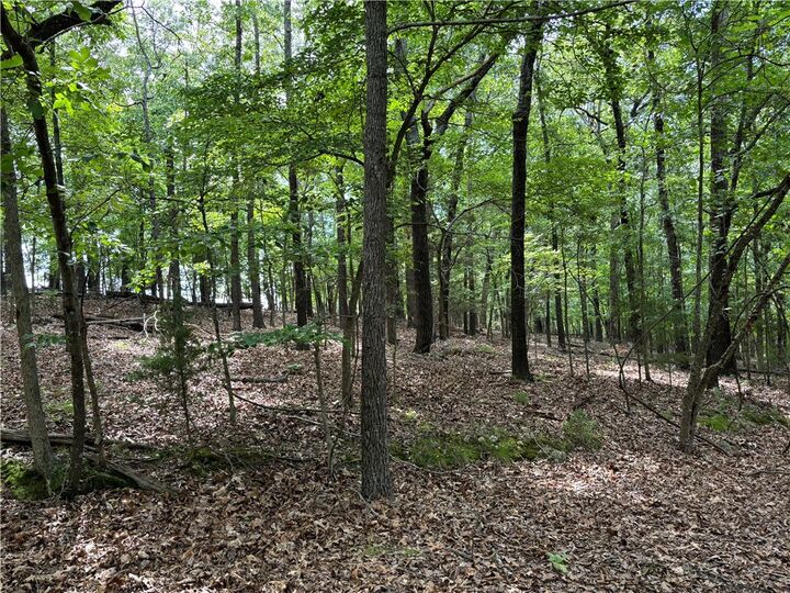 Property Photo:  County Road 276  AR 72642 