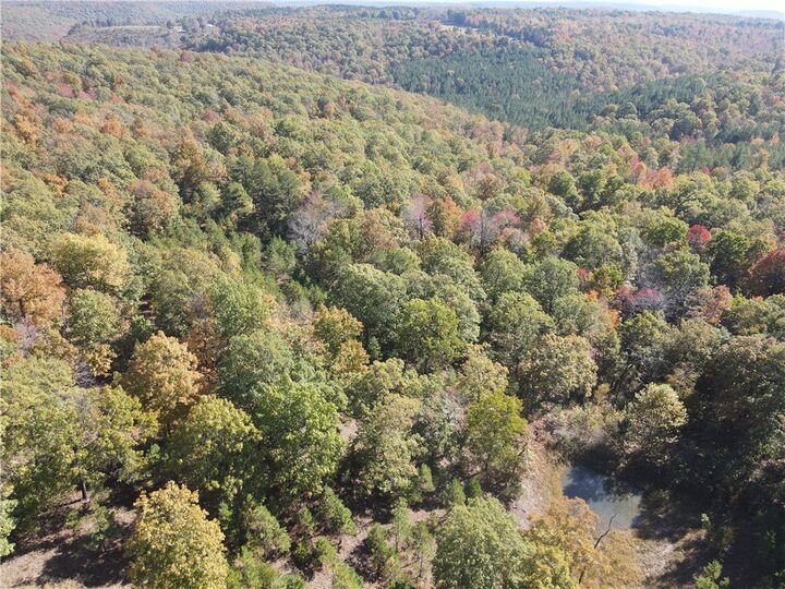 Property Photo: Hwy 254 AR 72645