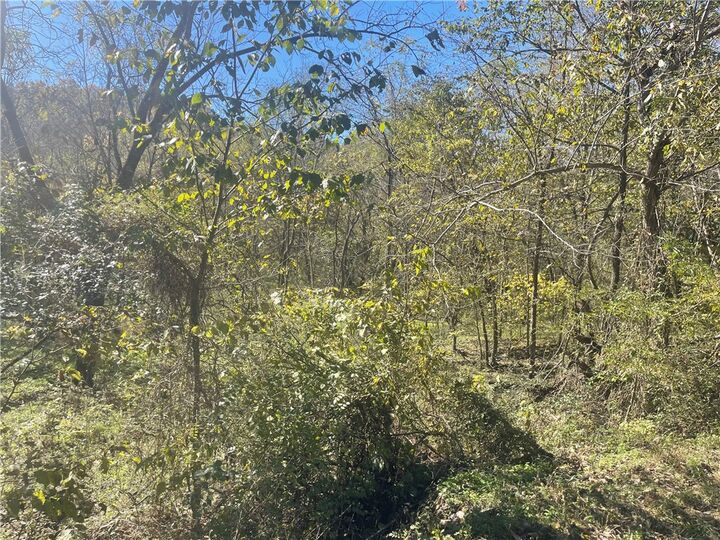 Property Photo:  Lot 4 Capel Lane  AR 72714 