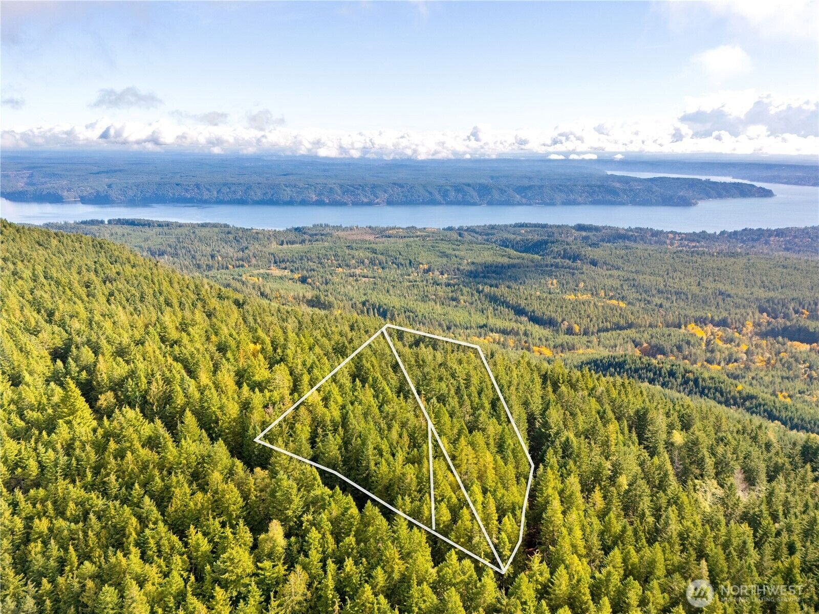 Property Photo: 1350 N Hilltop Loop Road WA 98548