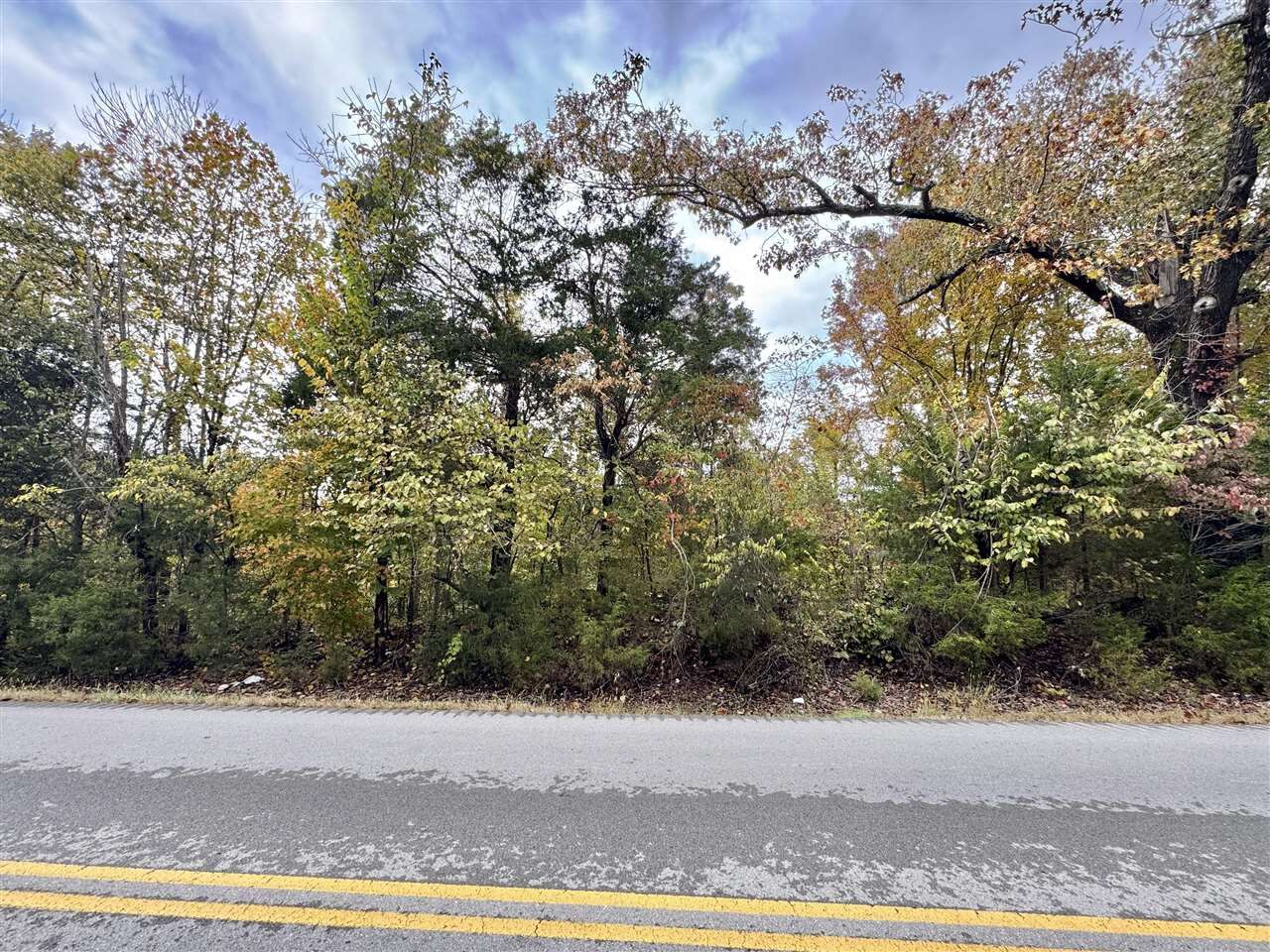 Property Photo:  9156 Woodburn Allen Springs Road  KY 42122 
