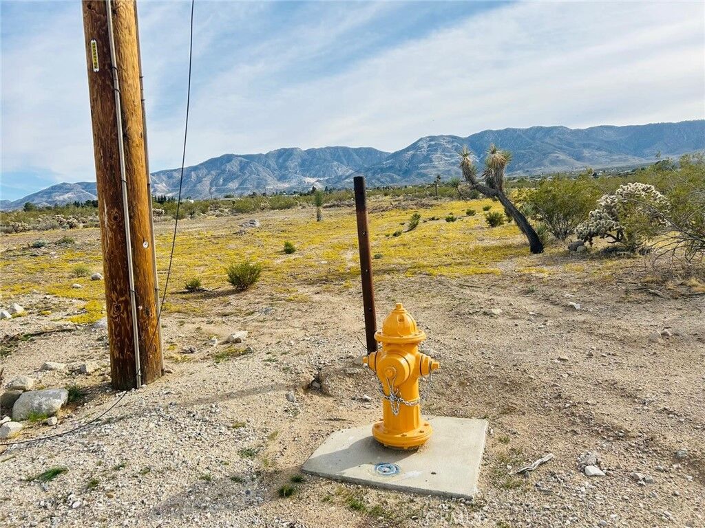 Property Photo:  32 Amber  CA 92356 