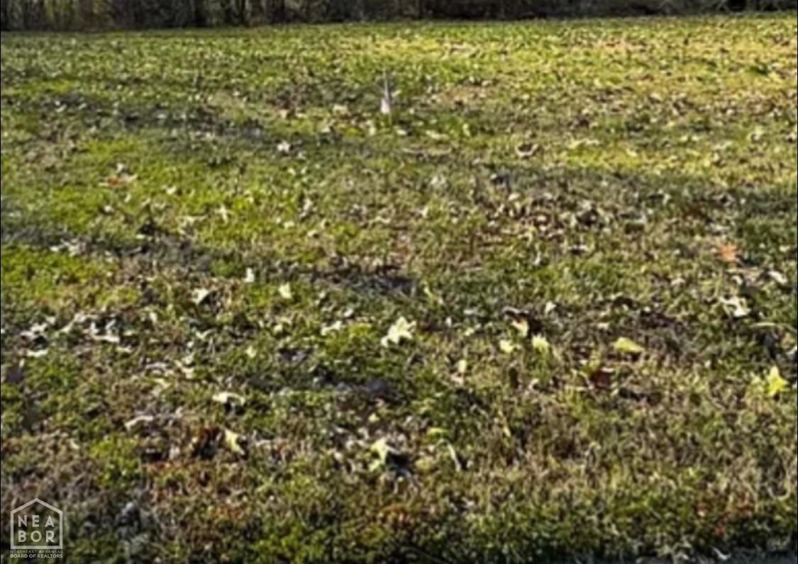 Property Photo: 1517 Granger Drive AR 72405