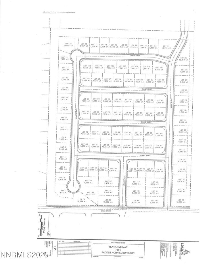 Property Photo:  400 E Bridge Street  NV 89447 