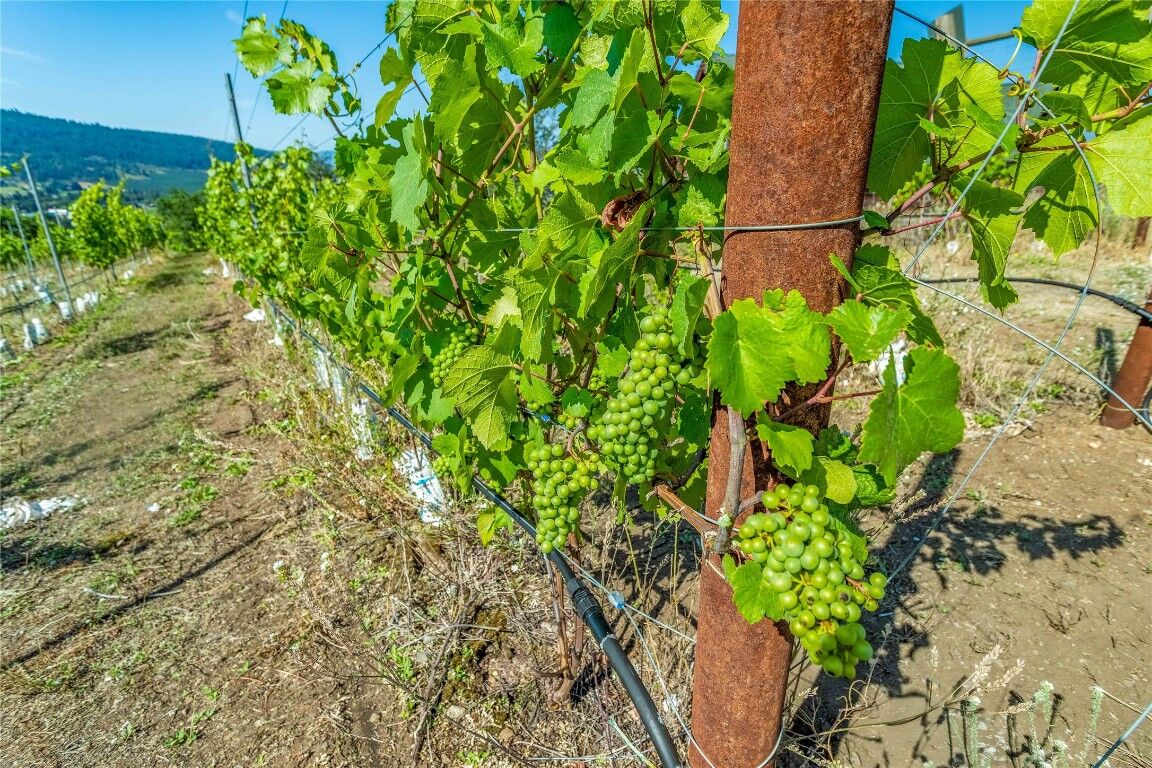 Property Photo:  9269 Highway 6  BC V1B 3B5 