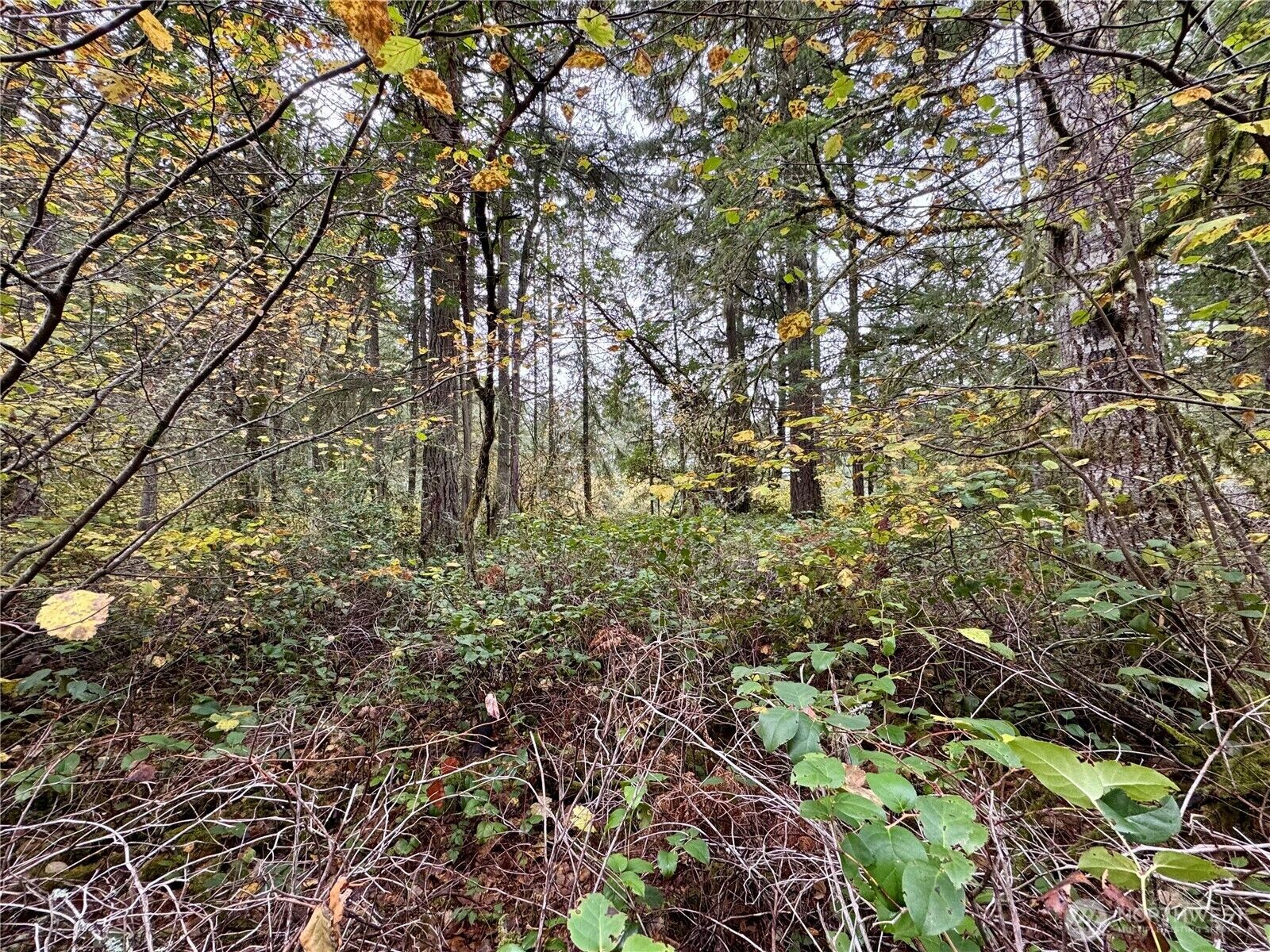 Property Photo: 10824 Madrona Drive WA 98303