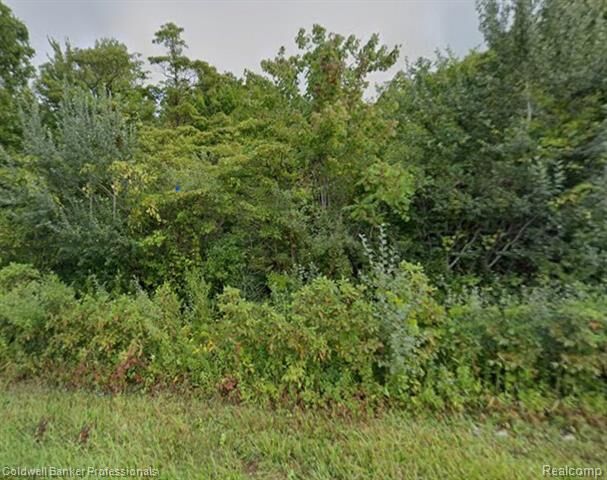 00 72nd St Street  South Haven MI 49090 photo