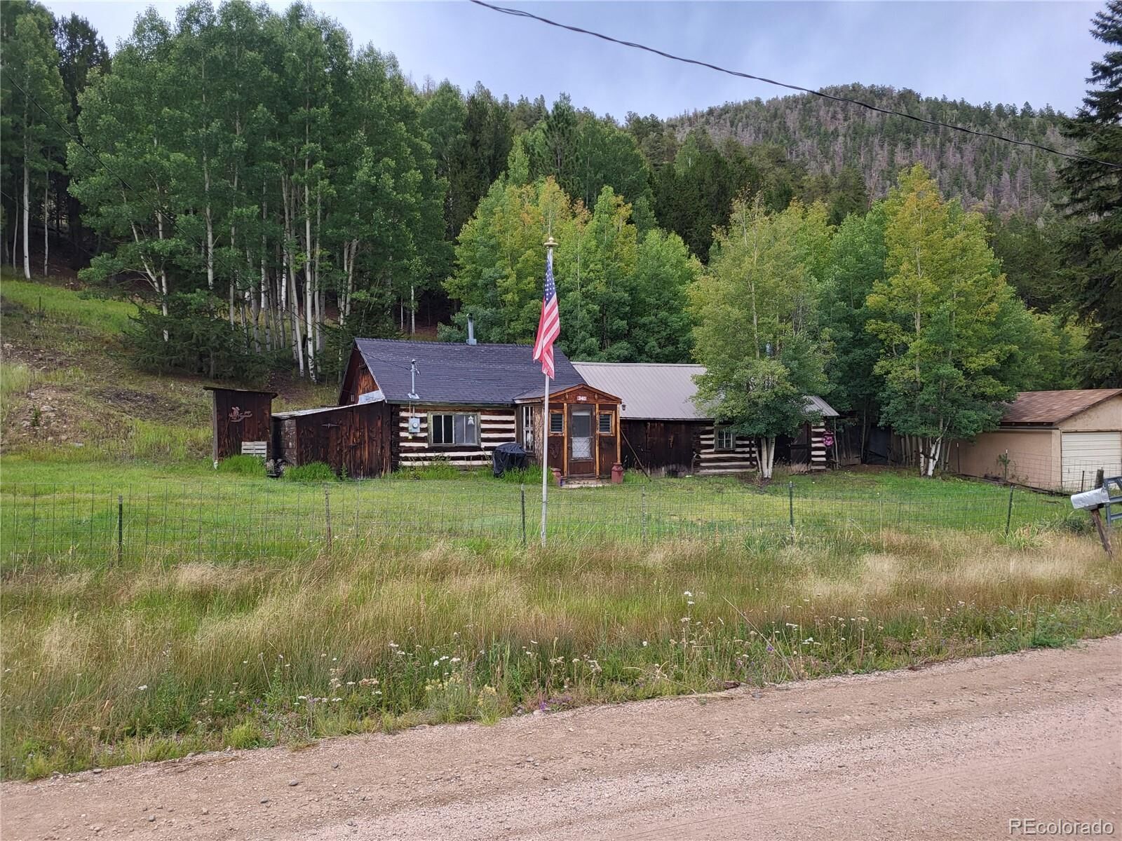 Property Photo:  316 Main  CO 81155 