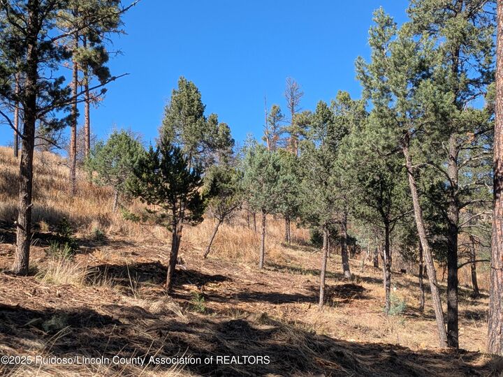 Property Photo:  117 San Juan Road  NM 88345 