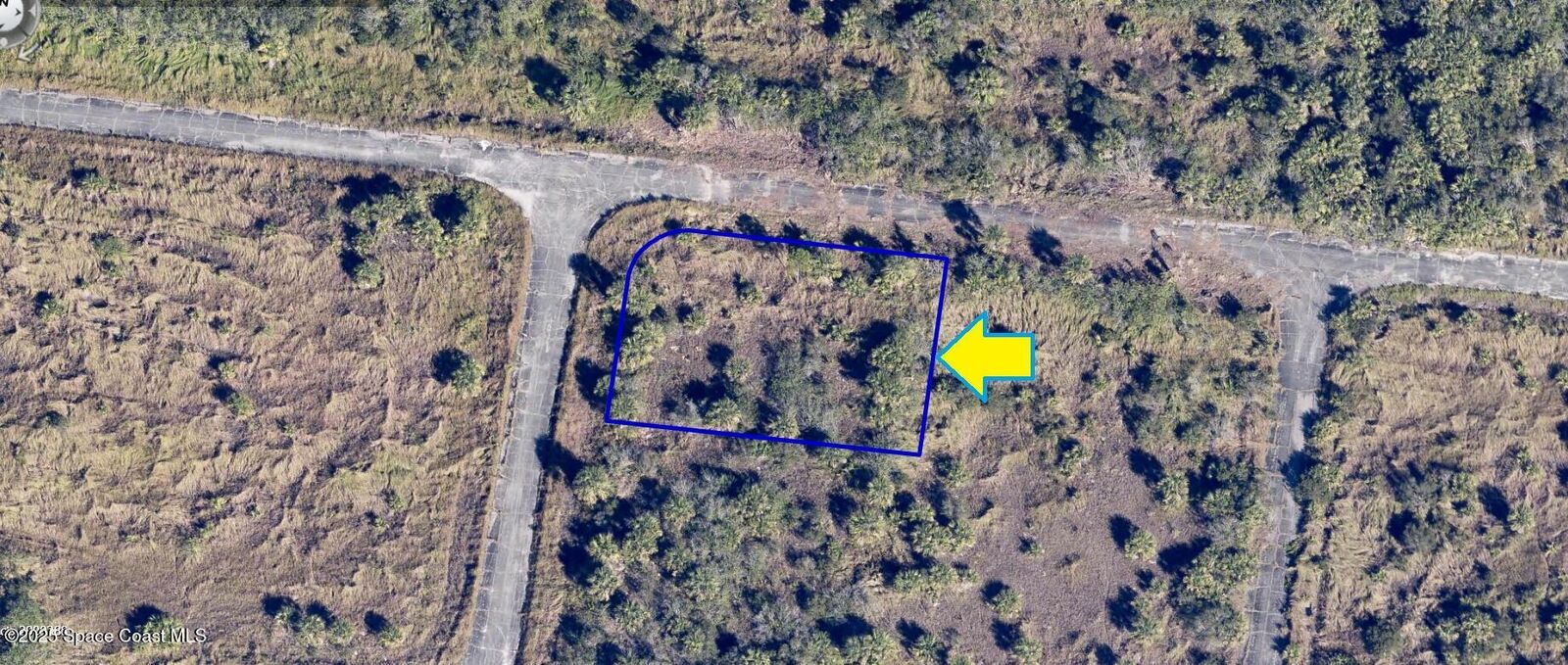 Property Photo:  1901 Blanton Avenue SW  FL 32908 