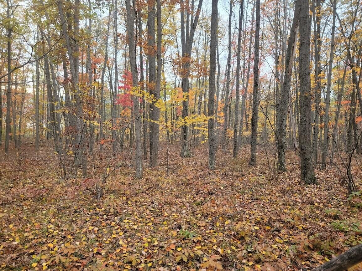 Property Photo:  V/L 5acres W North Down River Road  MI 49738 