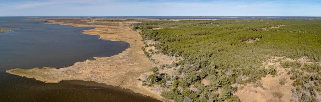 Property Photo: 50 Ac Belinda Rd VA 23426