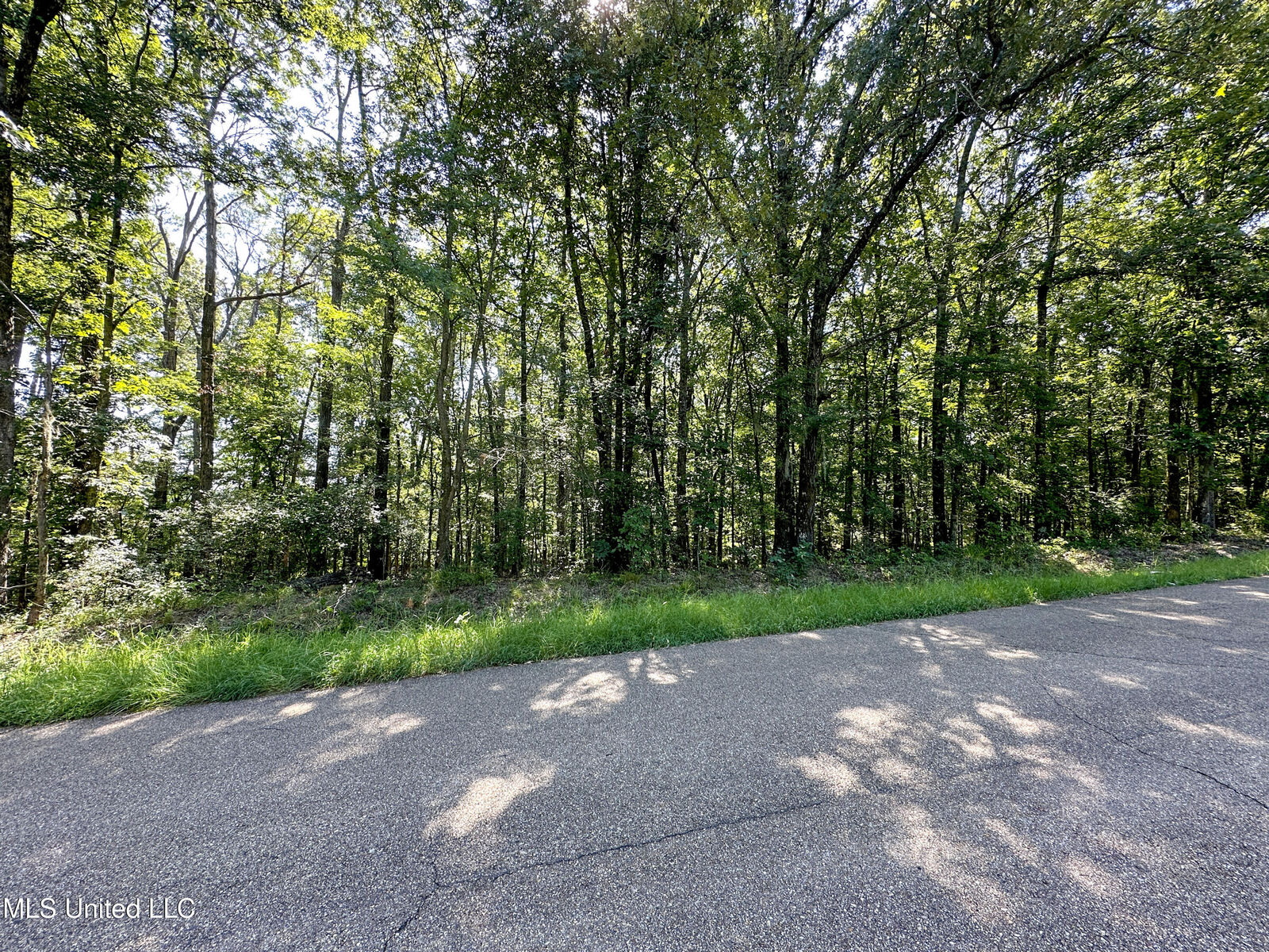 Property Photo:  0 Lakeridge Lane  MS 39056 