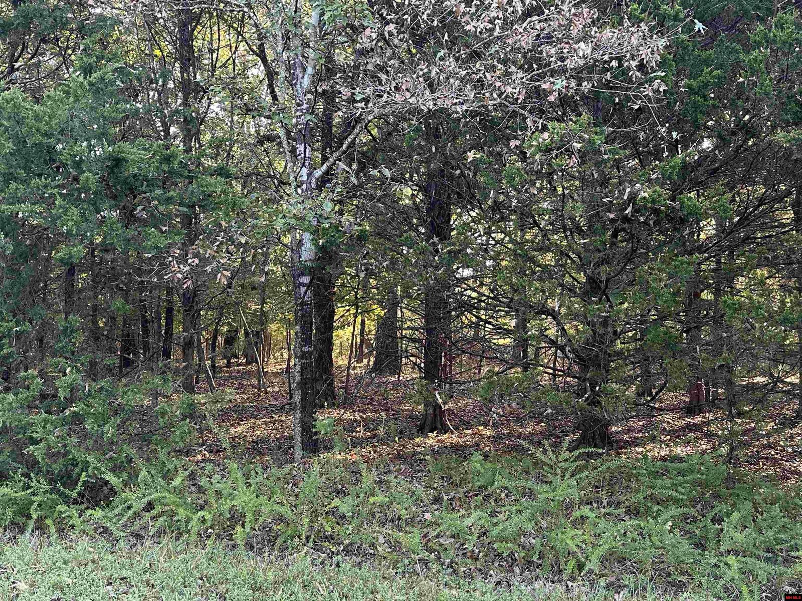 Property Photo: 002-04923-009 Hand Cove Road AR 72531