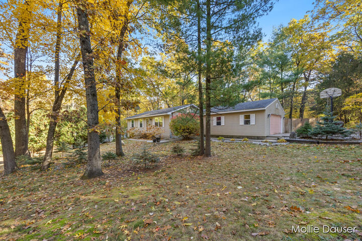 Property Photo:  8683 Star Eye Street NE  MI 49341 