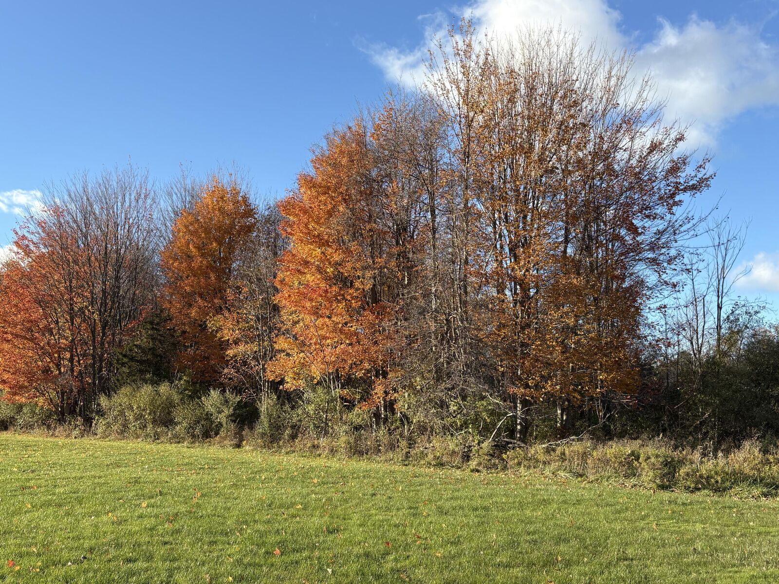 Property Photo:  2930 S Blue Star Highway  MI 49406 