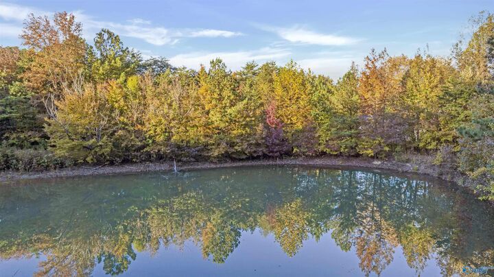 Property Photo: 10.57 Acres County Road 166 AL 35967