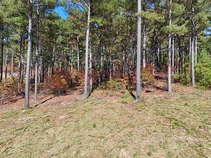 Property Photo:  Lot168 Stables Loop  GA 30512 
