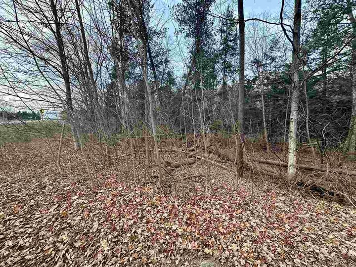 Property Photo: Tbd M-75 MI 49712