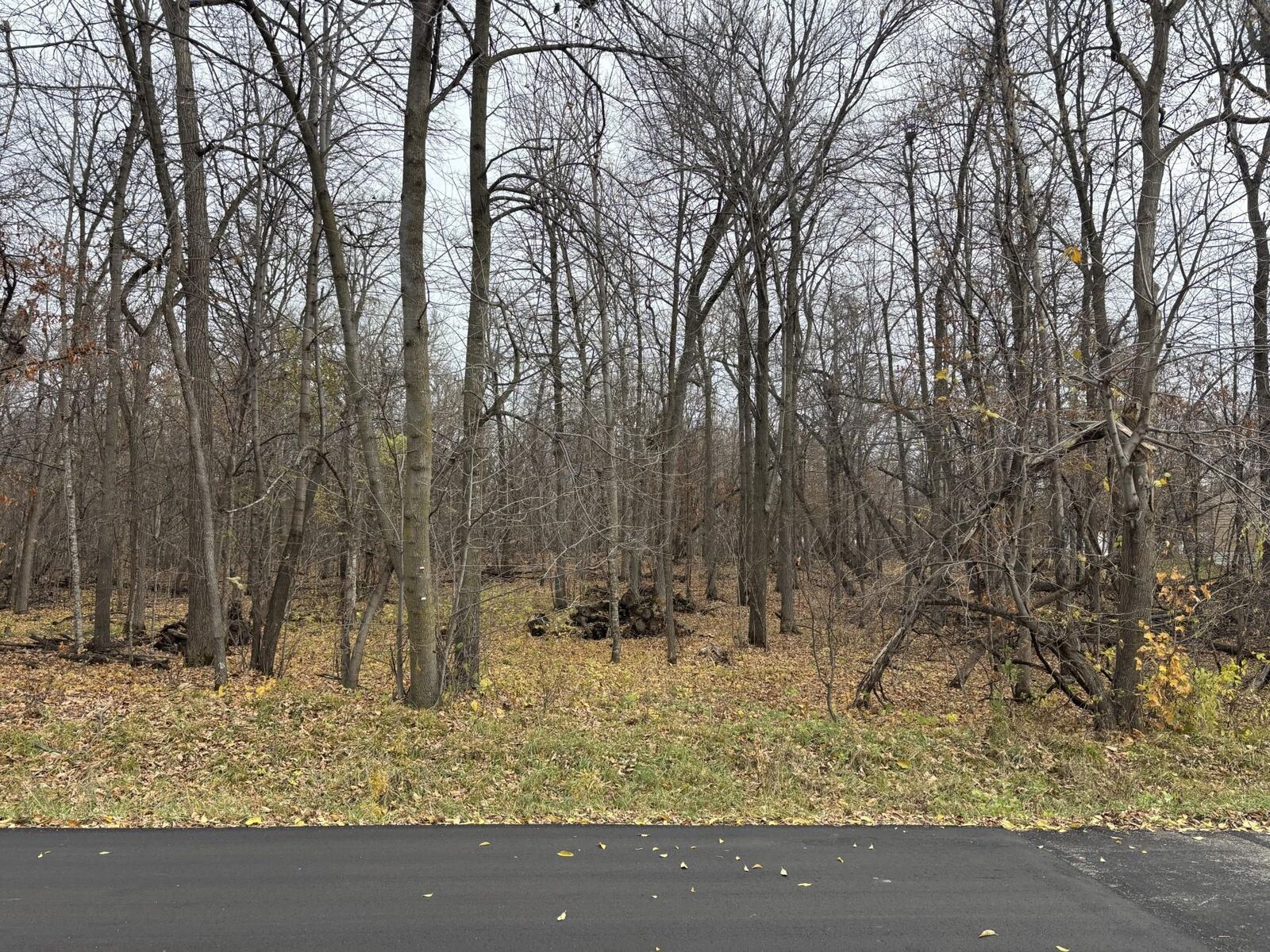 Property Photo:  Xxx Sugar Maple Dr  MN 56571 