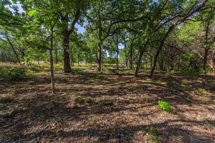 1053 Creek Crossing Road  Nemo TX 76070 photo