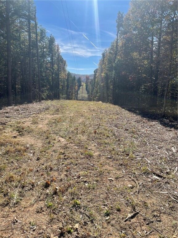 Property Photo:  509  AR 72740 