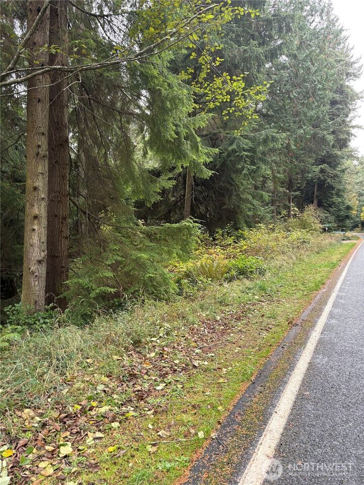 1131  Harbortop Terrace  Greenbank WA 98253 photo