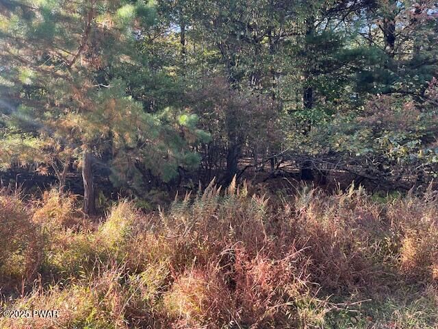 Property Photo: Lot 250 Squirrel Road PA 18328