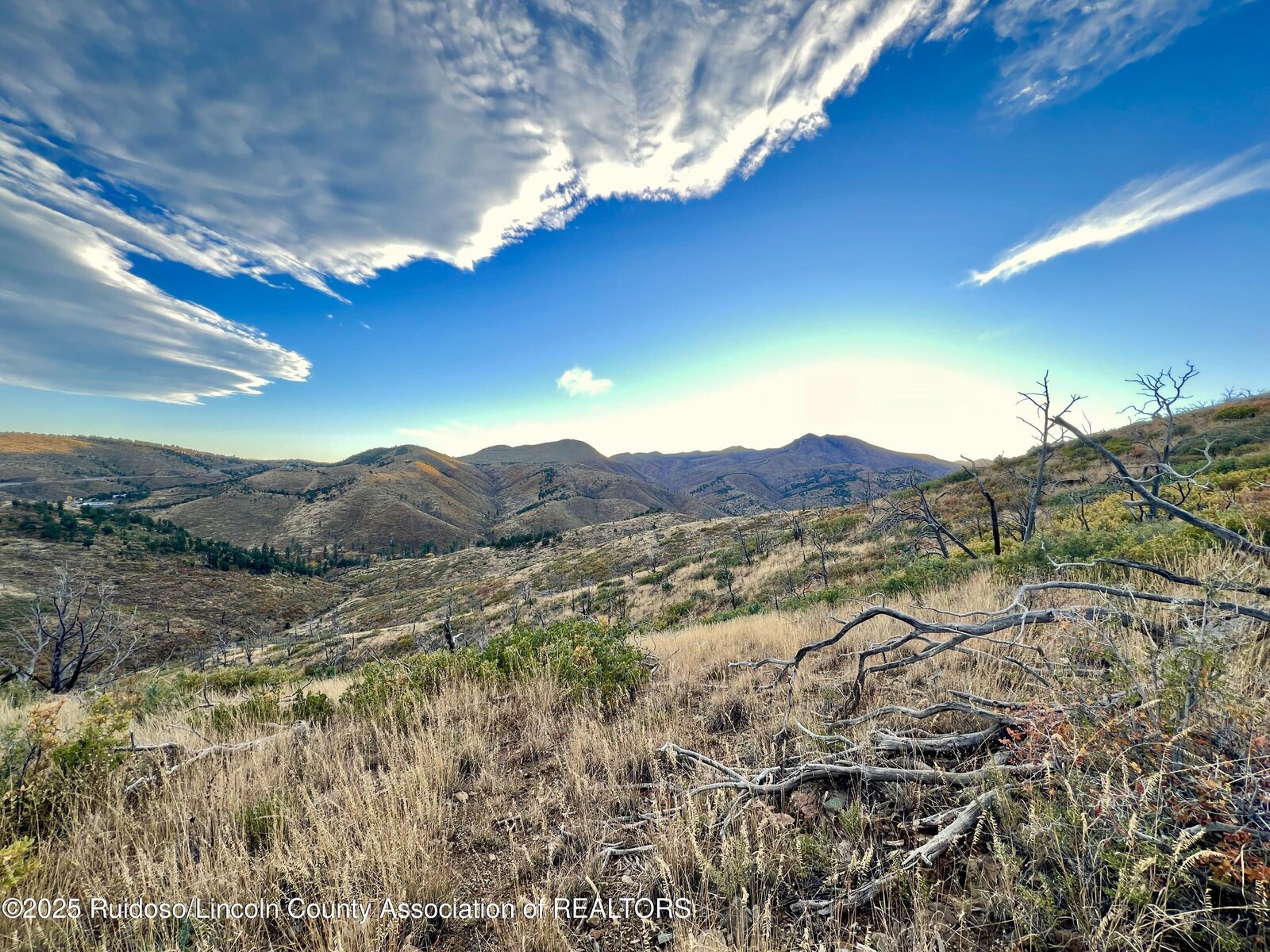 Property Photo:  Tract 4/5 Nm Hwy 37  NM 88341 