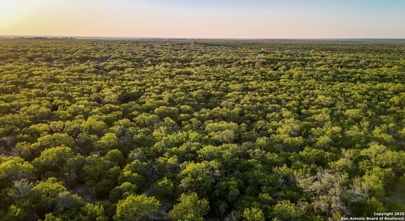 Property Photo: 000 County Line Rd # 120 TX 78102