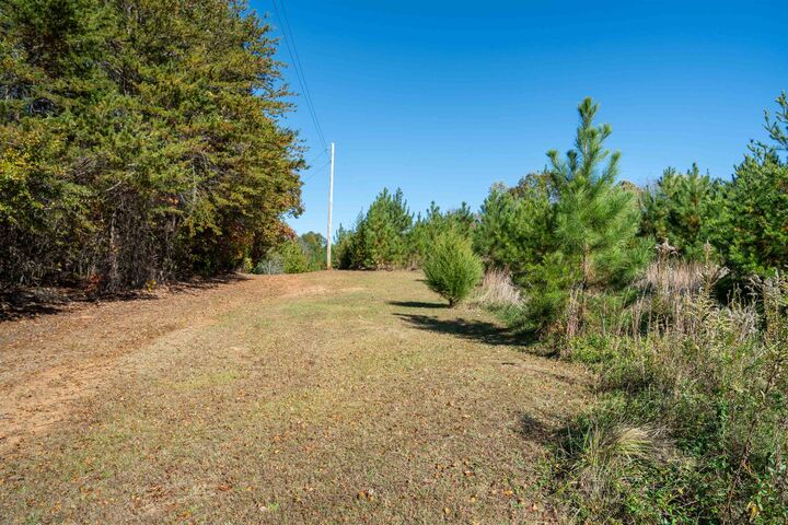 Property Photo:  523 McDade Road ***  NC 28782 