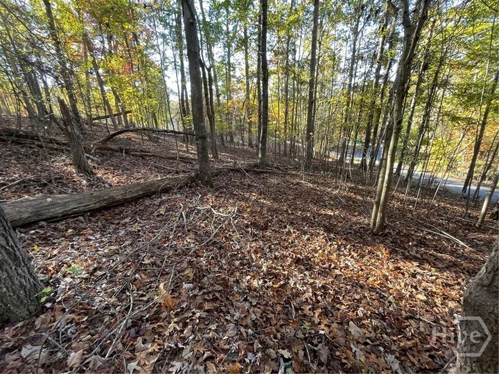 Property Photo: Lot 87 N Foxglove Road SC 29693