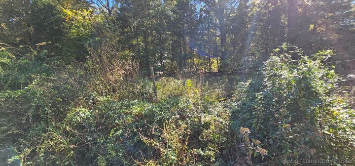 000000 E 1030 Road  Sallisaw OK 74955 photo