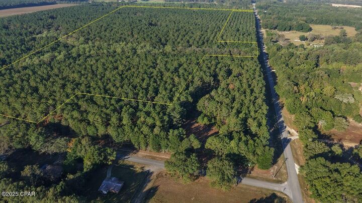 Xxx Co 147 Highway  Laurel Hill FL 32567 photo