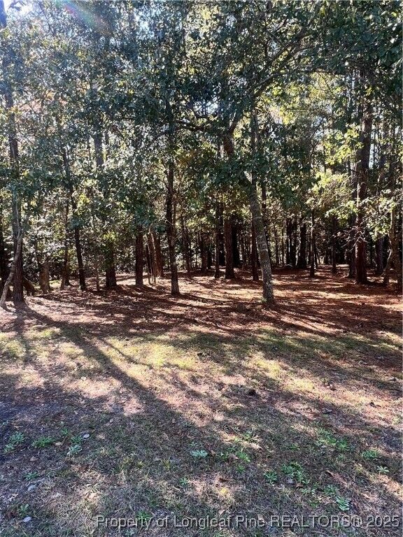 Property Photo: 2108 Arnold Palmer Drive NC 28470