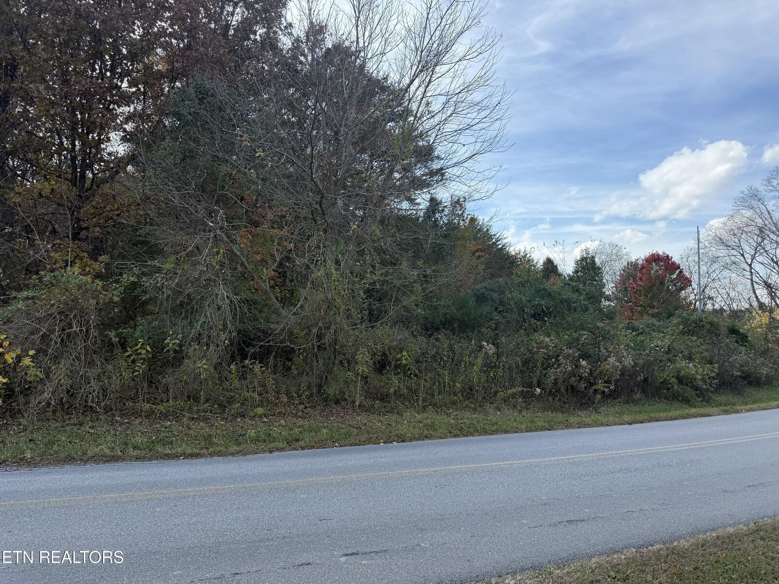 Property Photo: 919 Nina Delozier Rd TN 37804