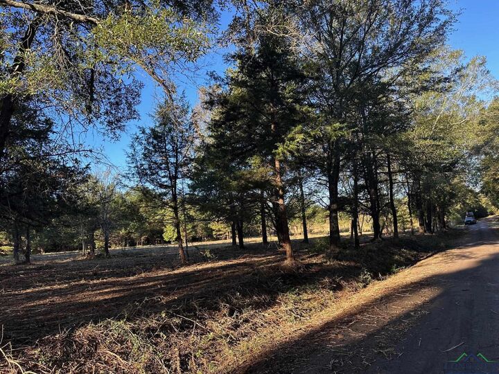 Property Photo:  Tbd Cr 1552  TX 75669 