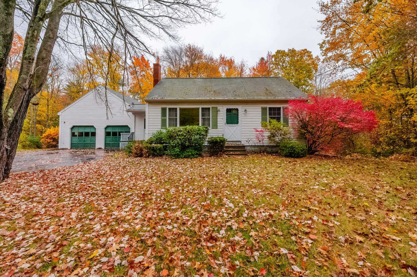 Property Photo:  14 Worster Road  ME 03901 