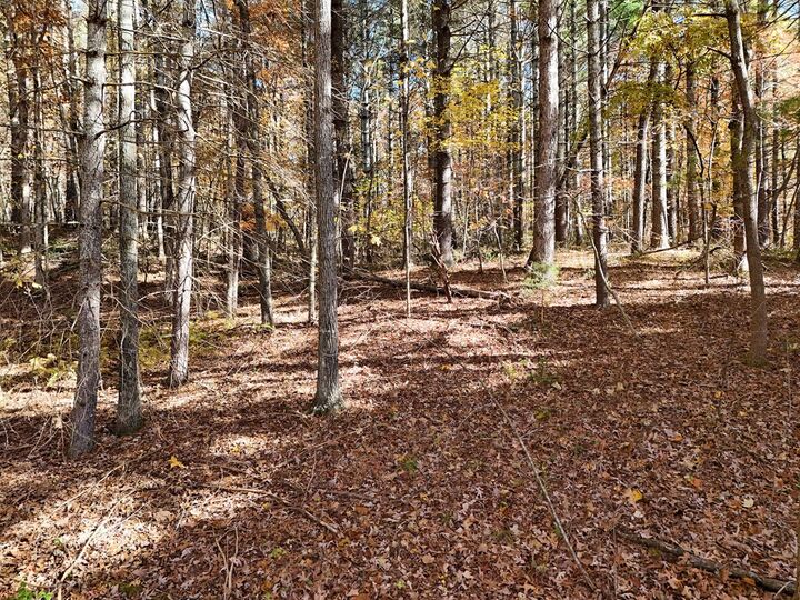 Property Photo:  20ac Odom Road  GA 30512 