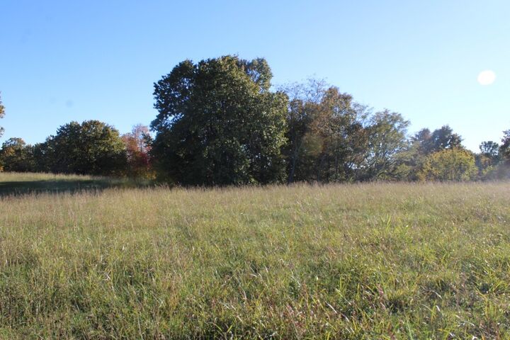 Property Photo:  4.93 Acres - Zinc Road  AR 72601 