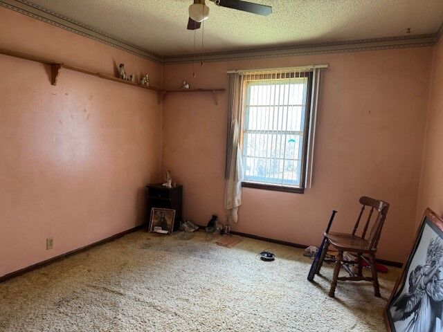 Property Photo: 119 W Johnson Drive AR 72634