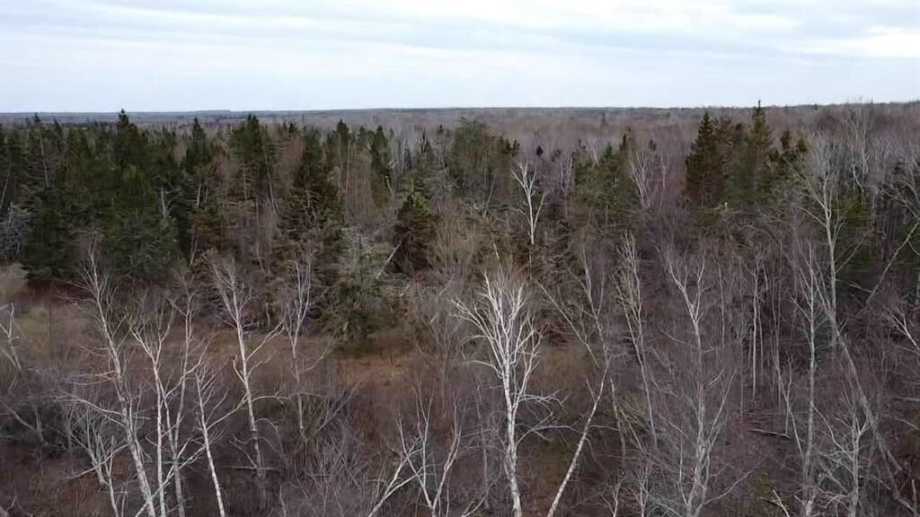 Property Photo:  Acreage Church Road  PE C0A 1T0 