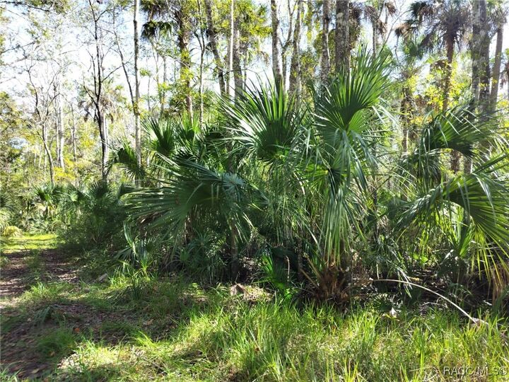 Property Photo:  10008 W Pennsylvania Street  FL 34448 