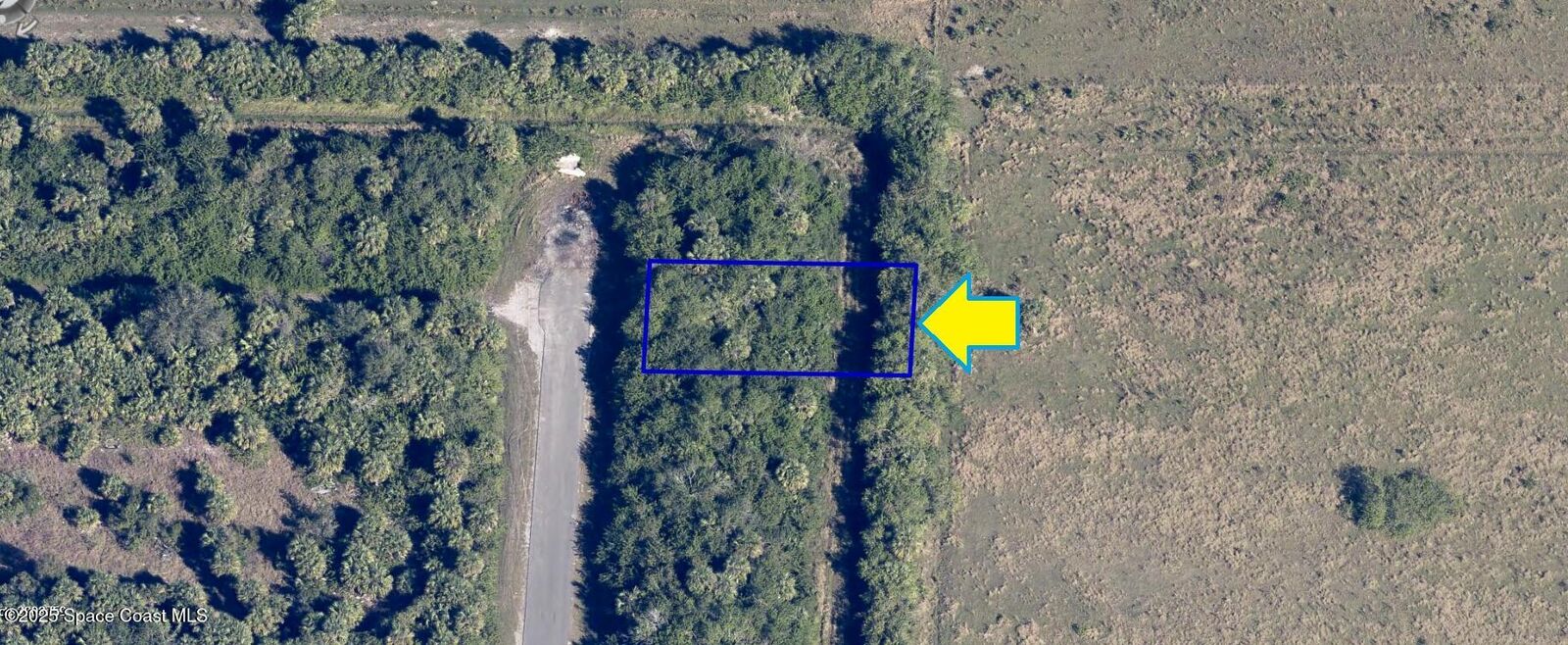 Property Photo:  1431 Madden Avenue SW  FL 32908 