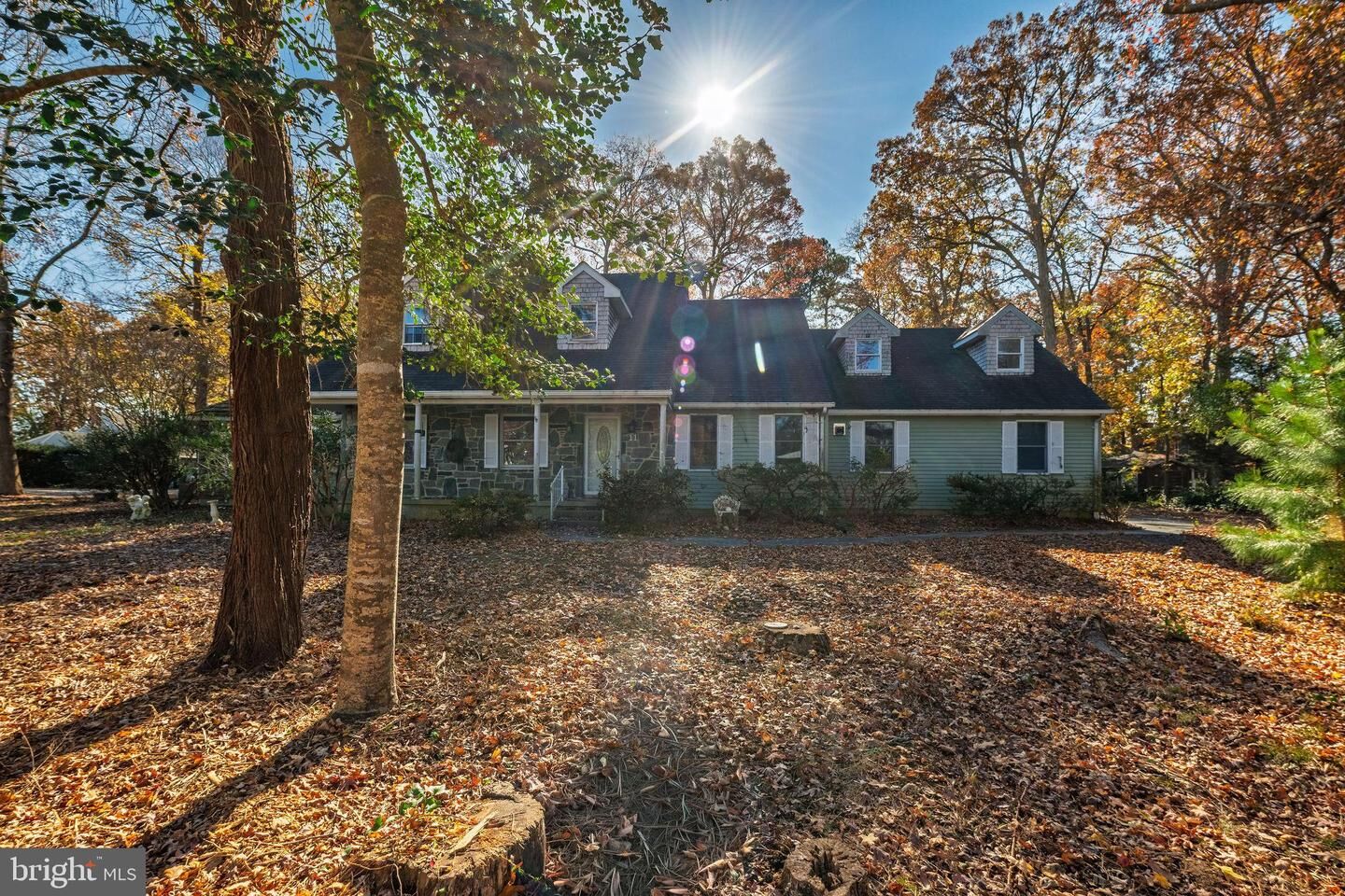 Property Photo: 31044 Sycamore Drive DE 19958