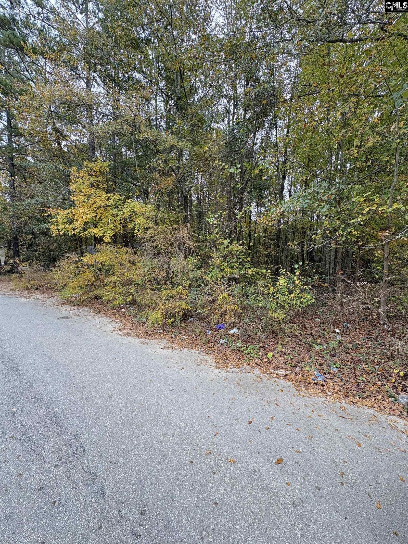 Property Photo: 108 Rockyview SC 29203